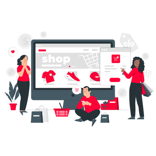 Custom ecommerce Development Services