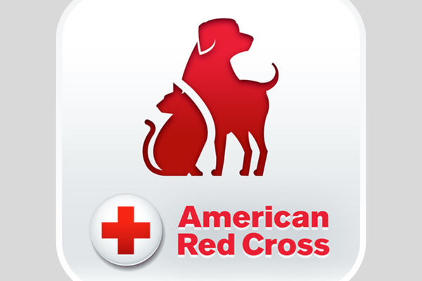 Pet First Aid App